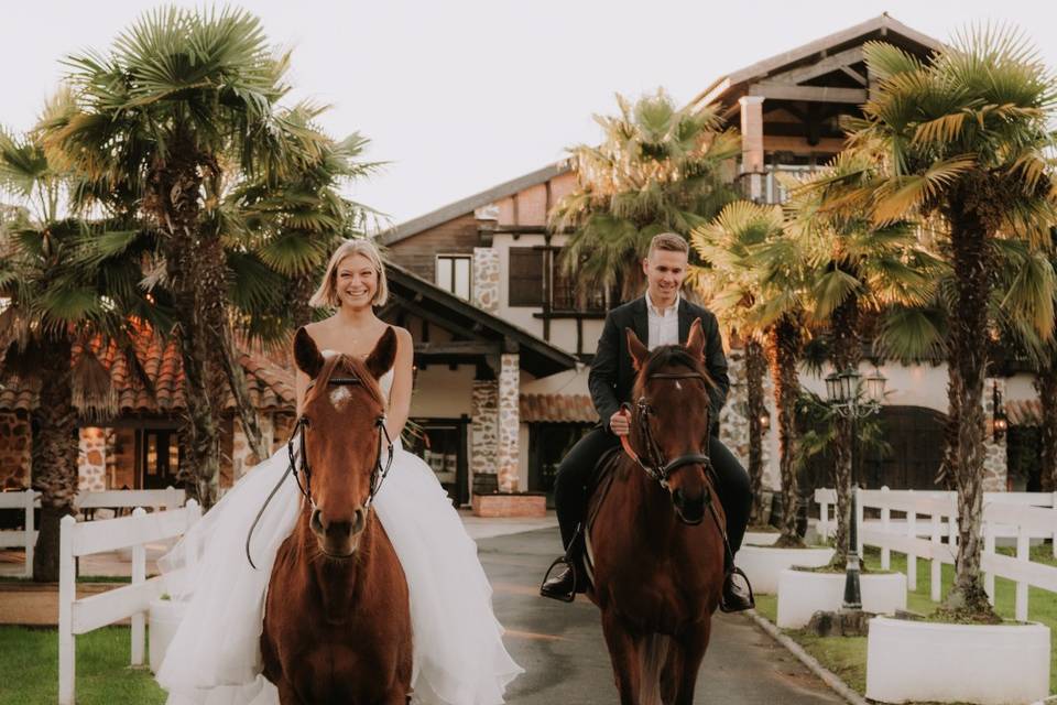 Horses & Brides