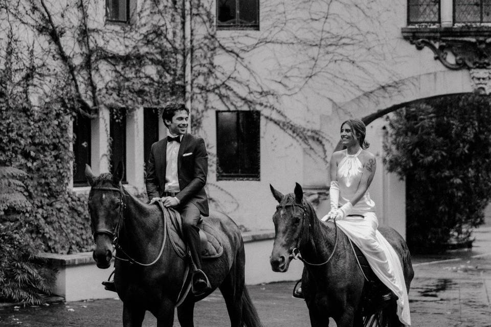 Horses & Brides