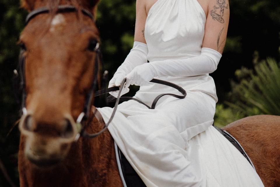 Horses & Brides