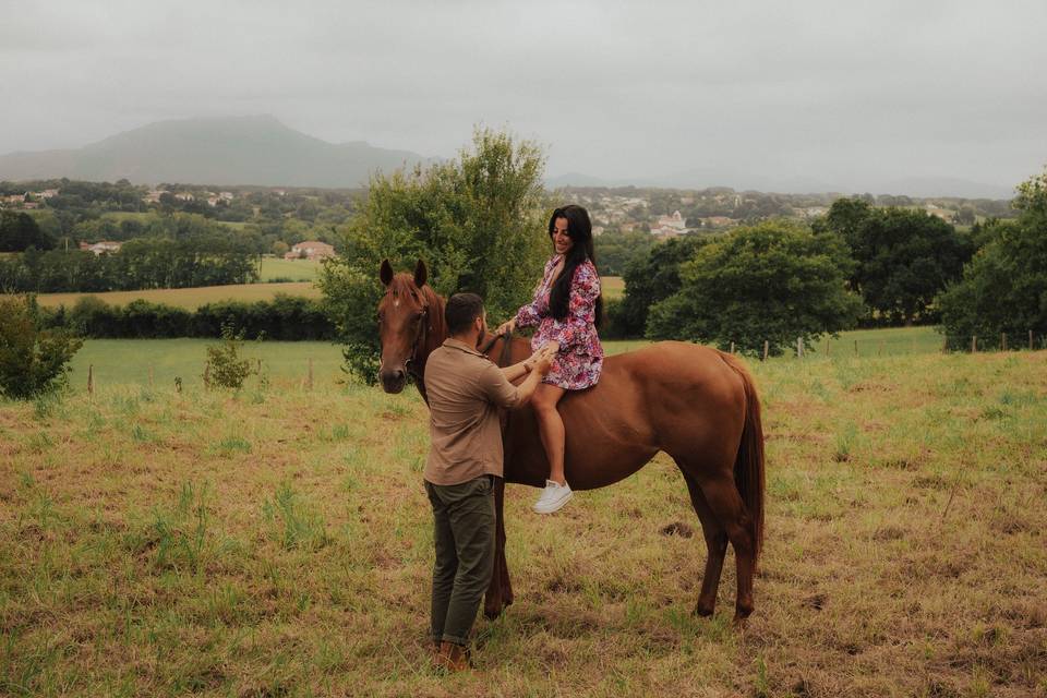 Horses & Brides