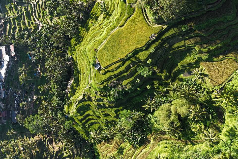 Bali, Indonesia