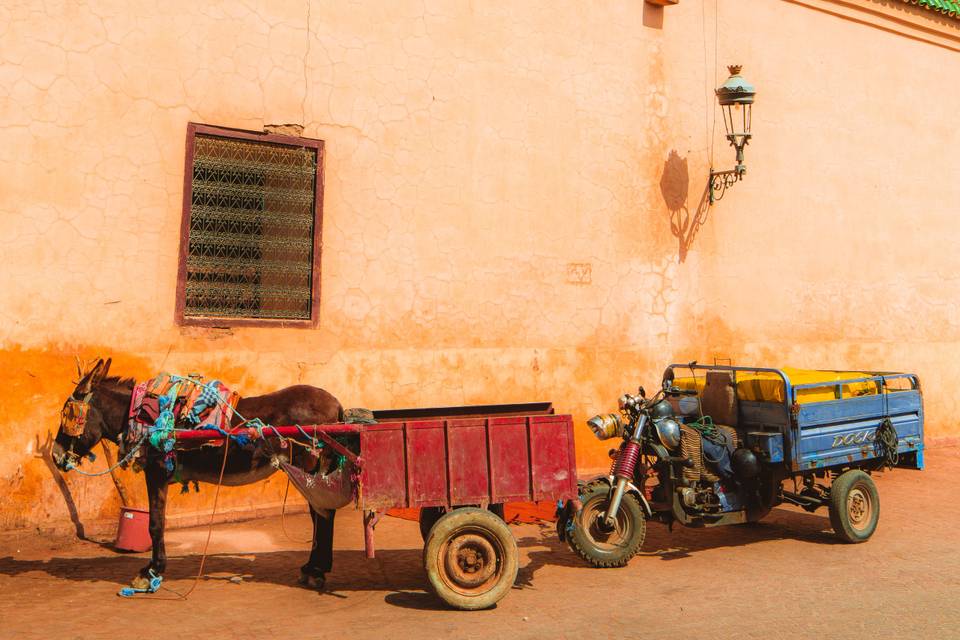 Maroc