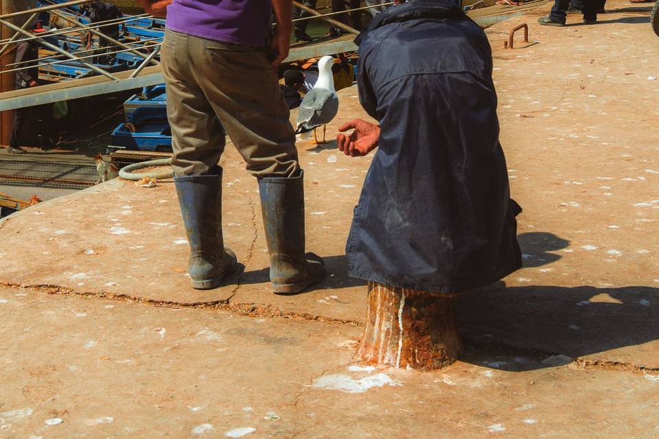 Maroc