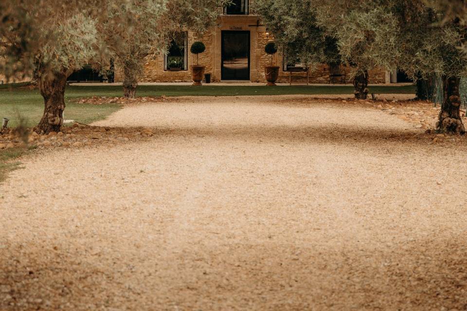 DOMAINE