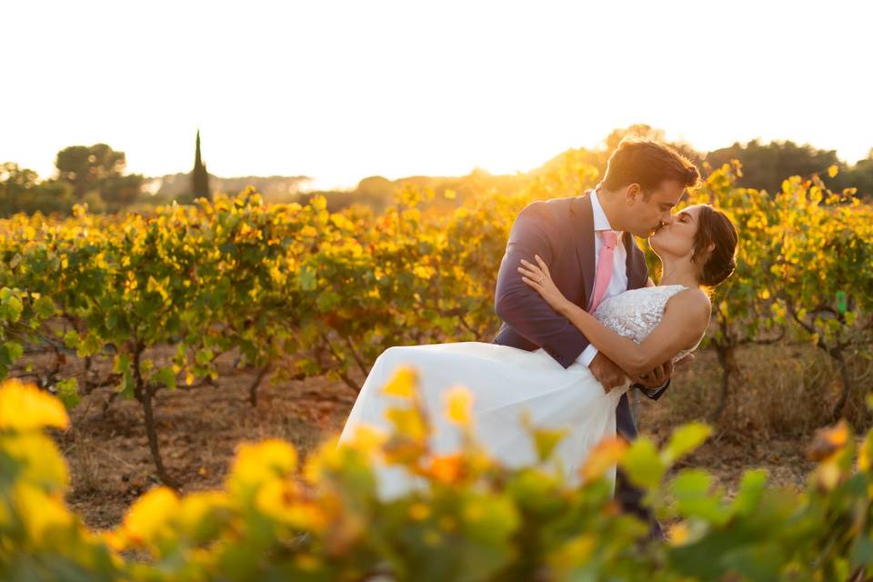 Vignes