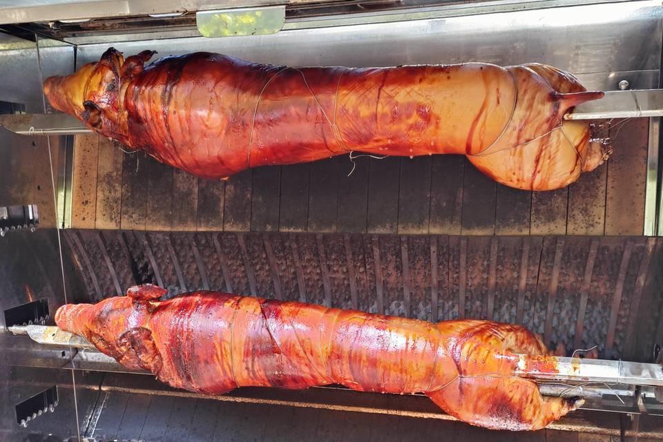 Des petits cochons