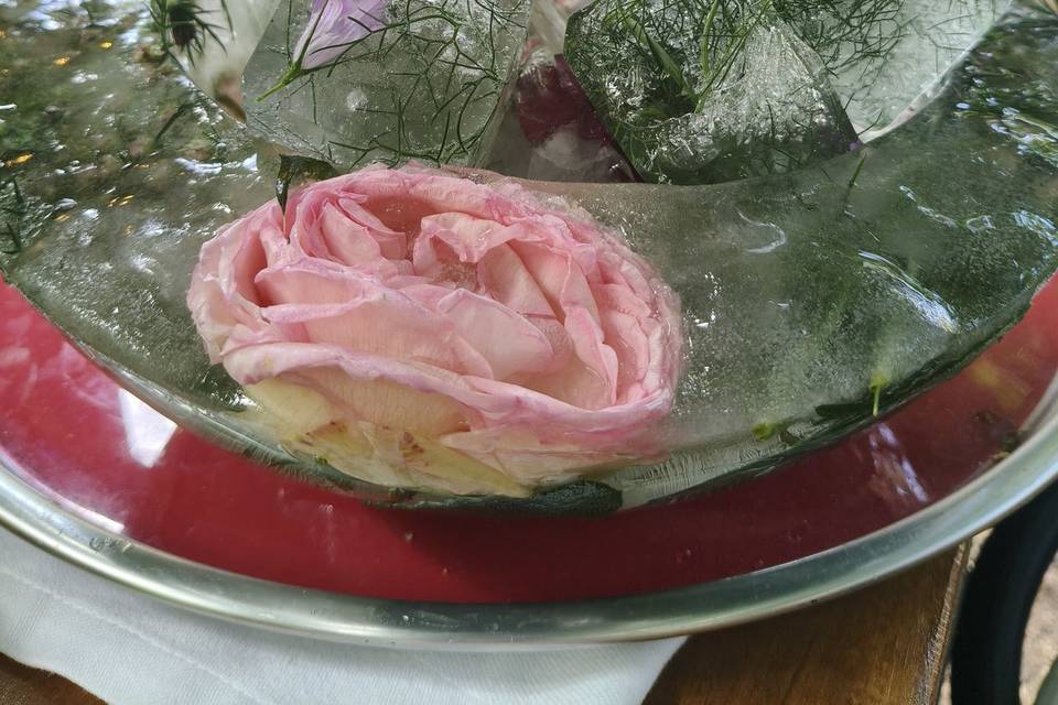 Glaçons aux fleurs sauvages