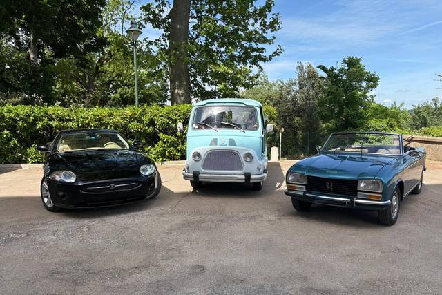 Bela Cars