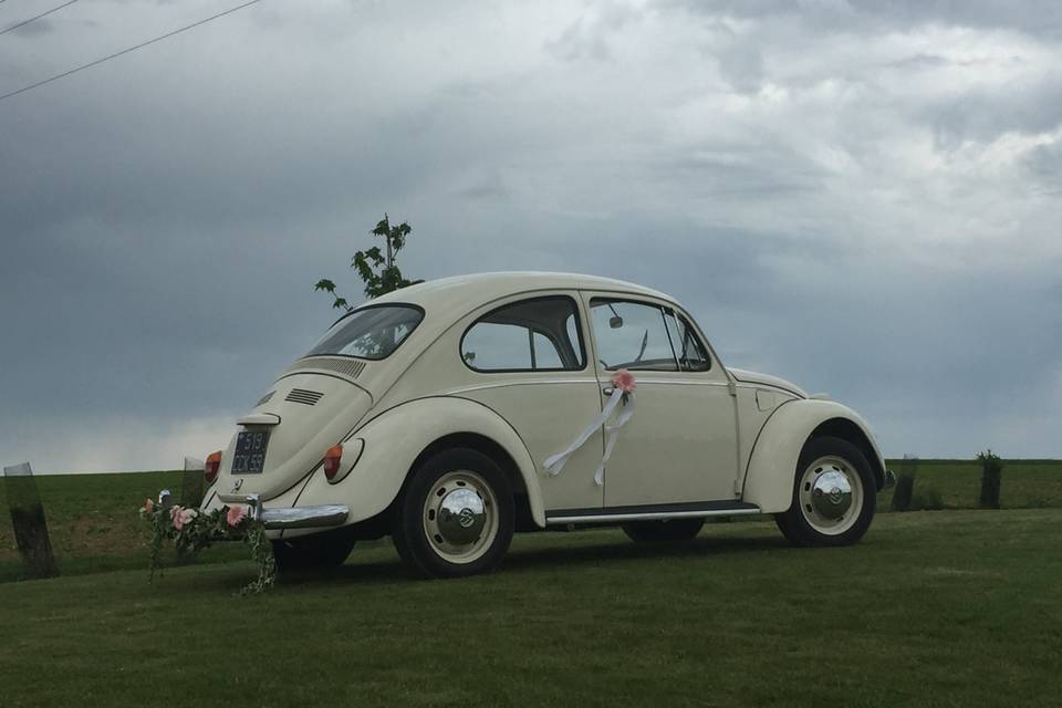 La coccinelle en campagne