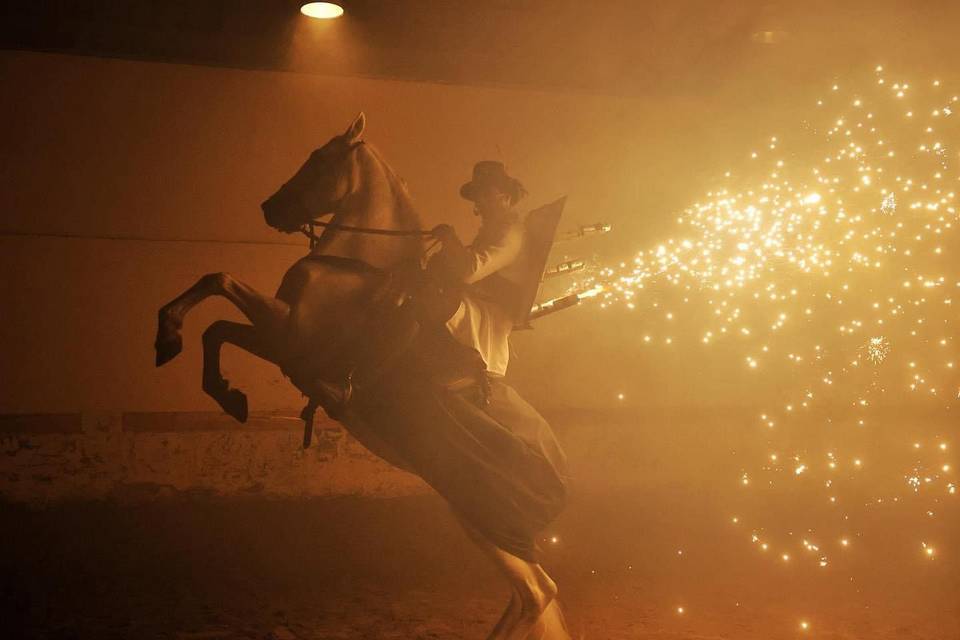 Cheval d’artifice