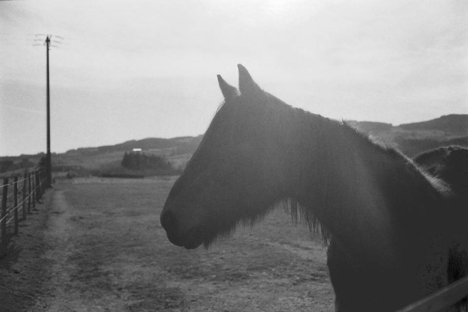 Photographe argentique