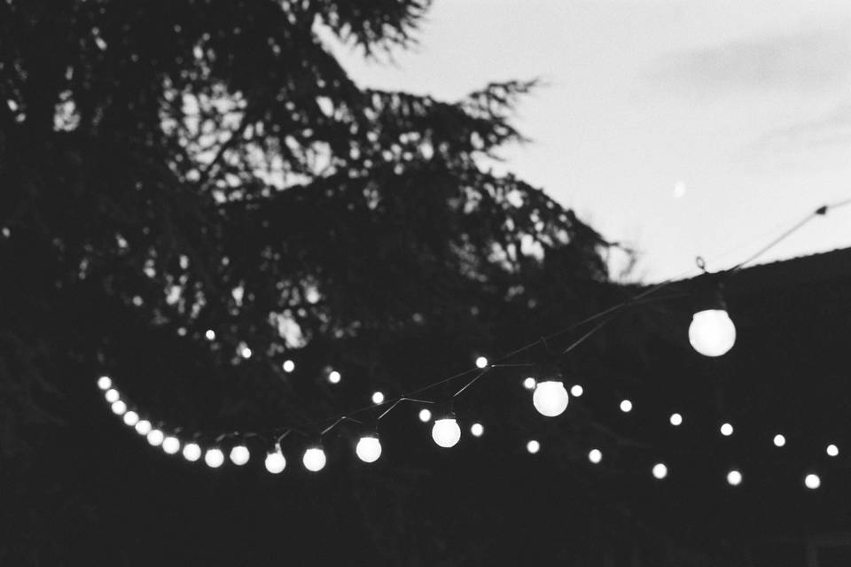 Photographe argentique