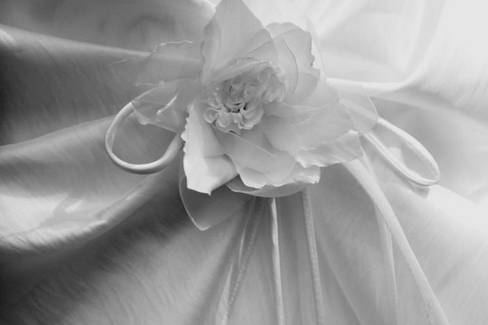 Détails de la robe
