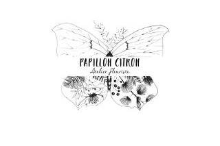 Papillon Citron