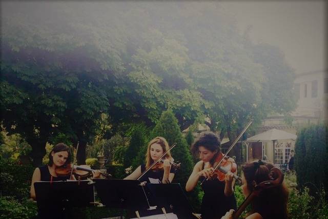 Quatuor Night Birds