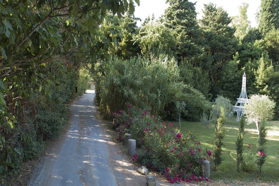 Allée