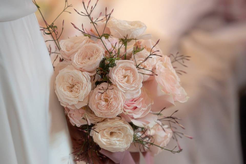 Rose poudré