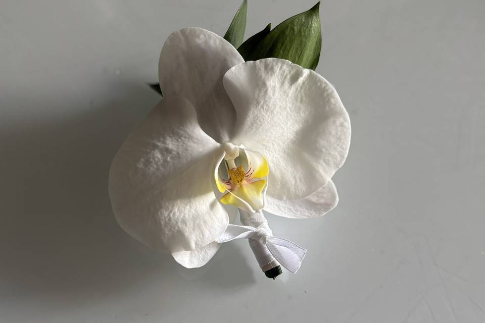 Boutonnière orchidée