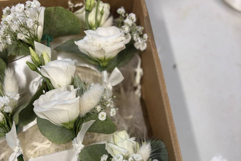 Boutonnières blanche
