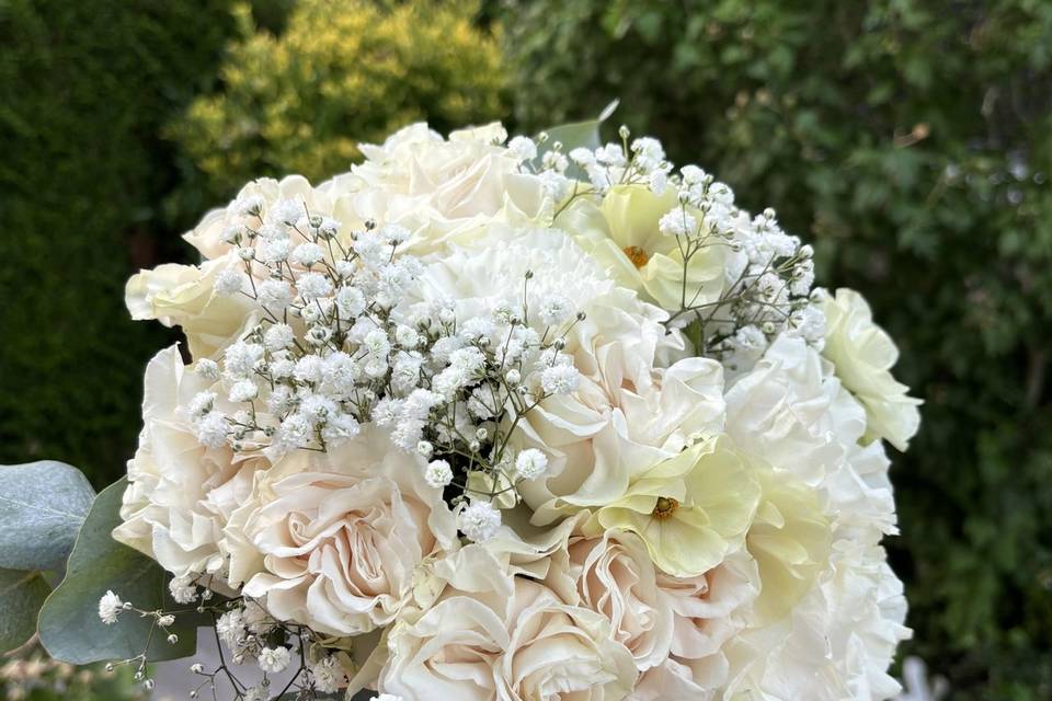 Blanc de blanc