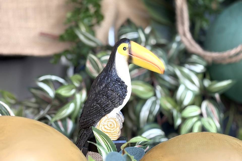 Le Toucan