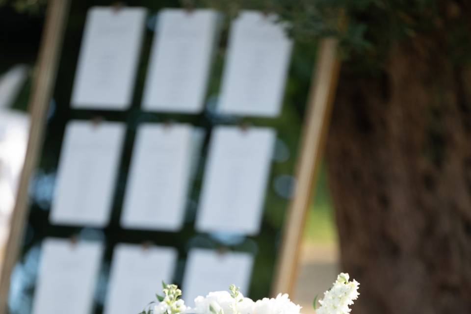 Mariage Q&V - Juin 2025