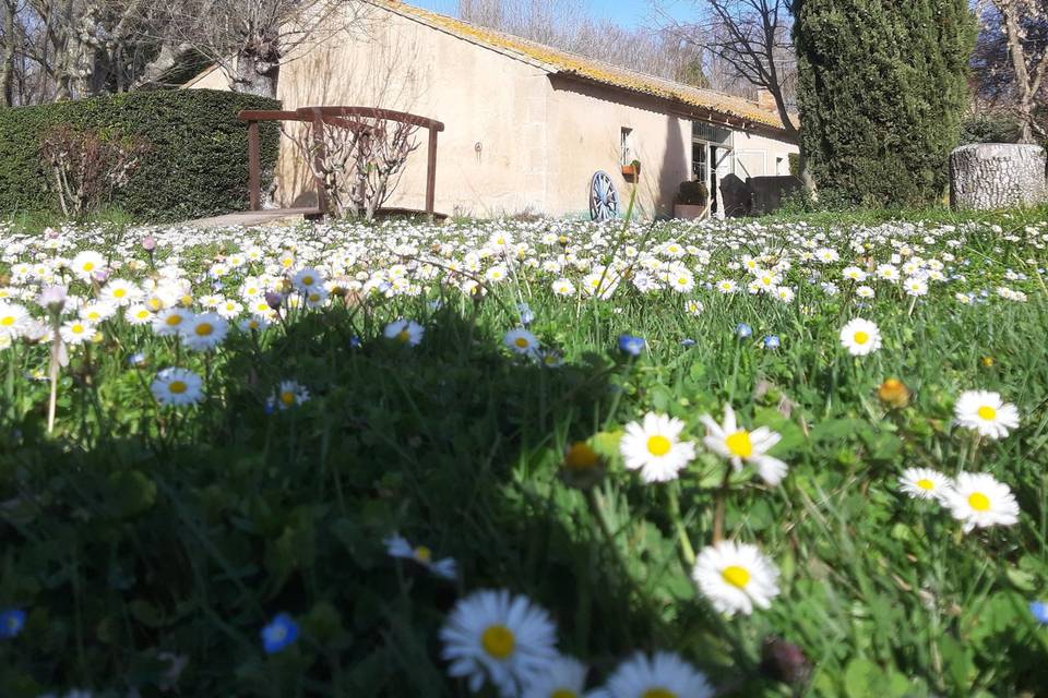 La Bergerie du Domaine de Curebourse