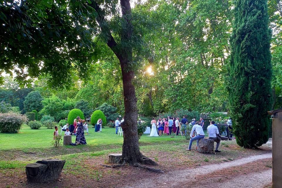 Réception en plein air