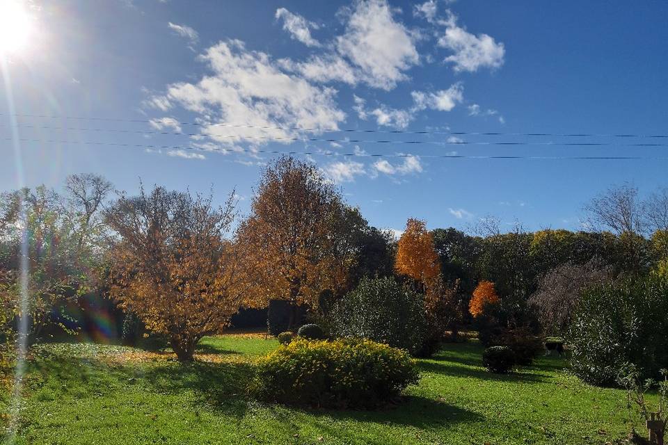 L'automne dans le parc