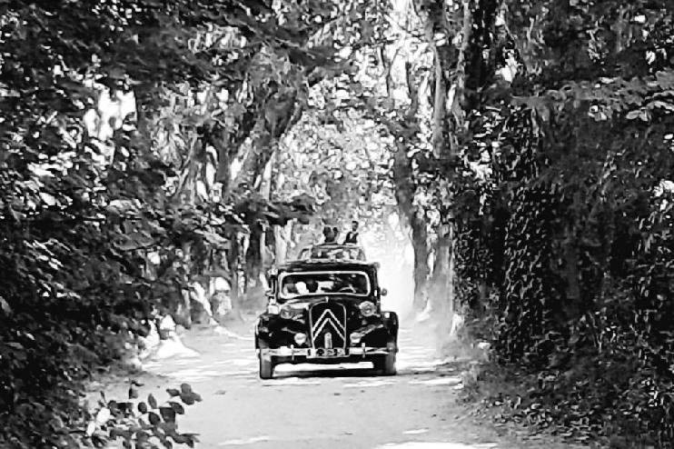 Arrivée dans l'allée de platanes