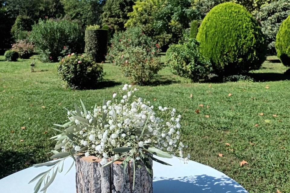Dans le parc