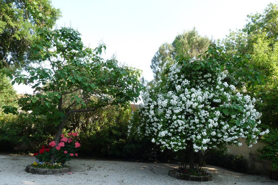 Terrasse fleurie