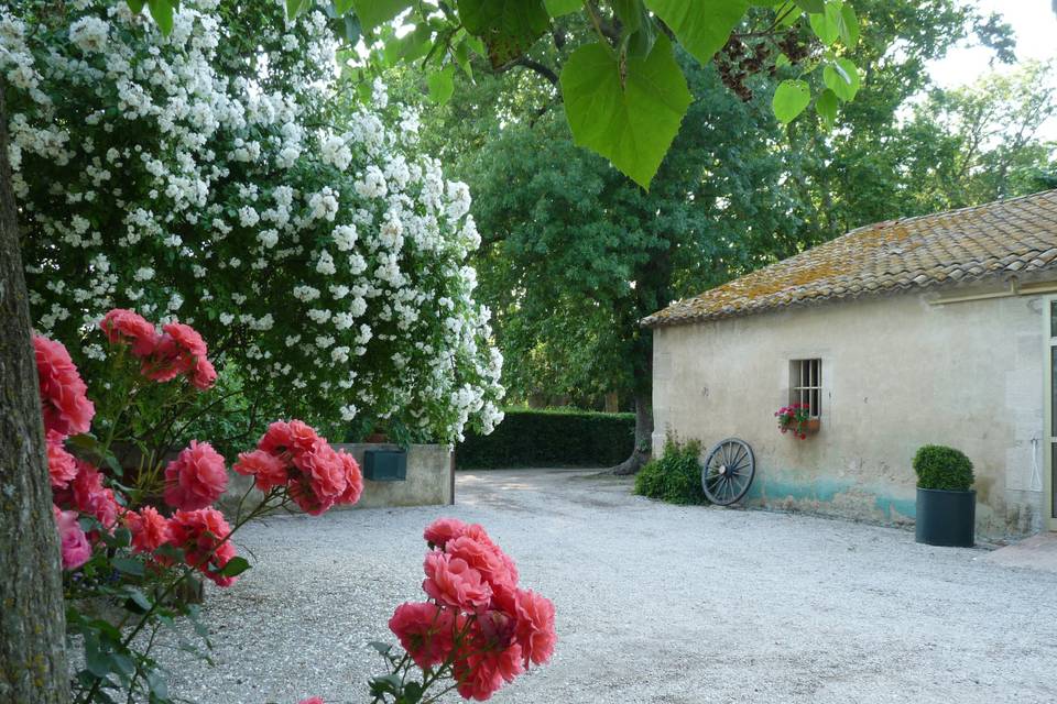 Terasse et salle