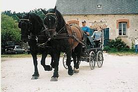 Promenade en calèche