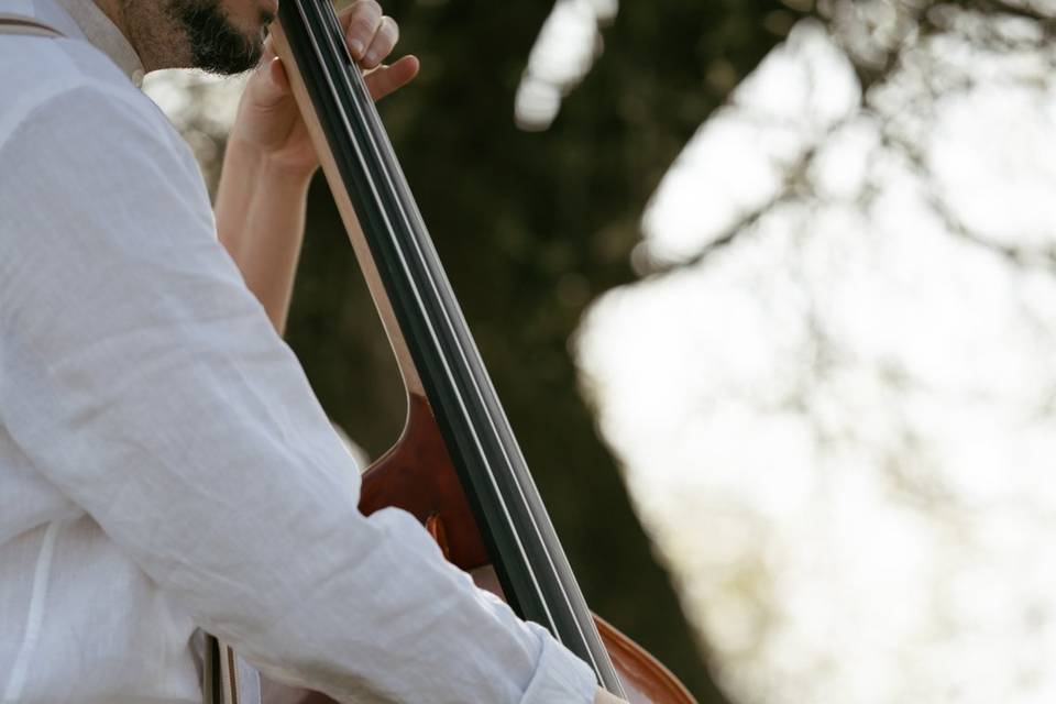 Vin d'honneur - Nova Acoustic