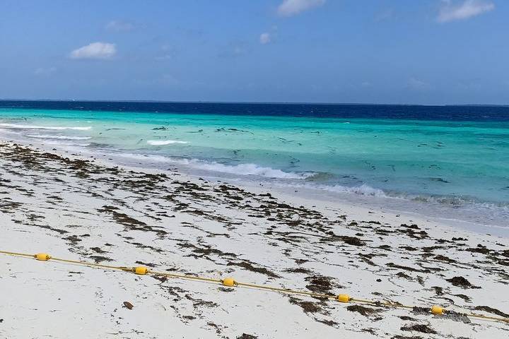 Incomparable Zanzibar