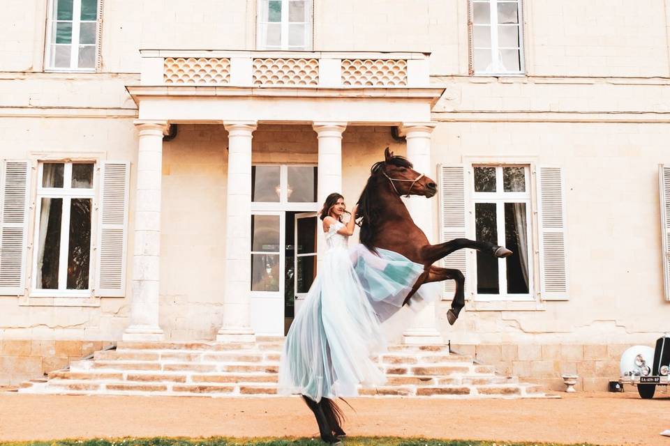 Château de la Brûlaire