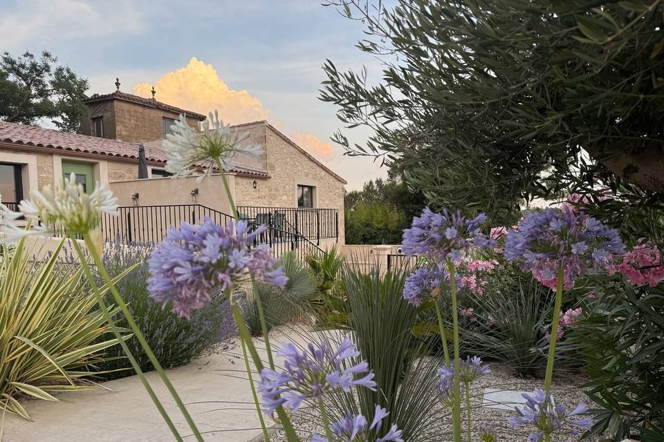 Espace végétalisé piscine