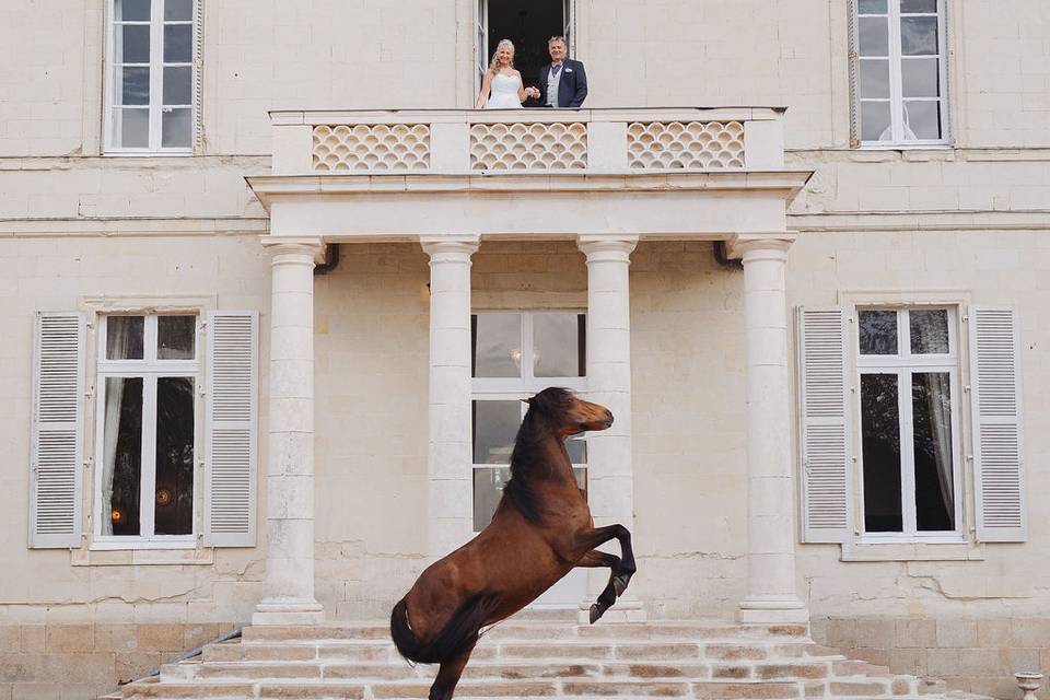 Château de la Brûlaire