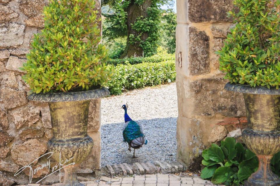 Château Chavagnac mariage