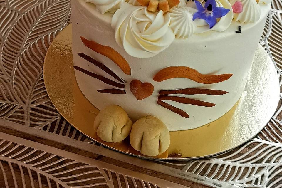 Kitty cake