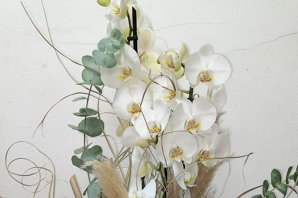 Orchidée