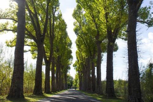 Entrée Aux Jardins de Joséphin