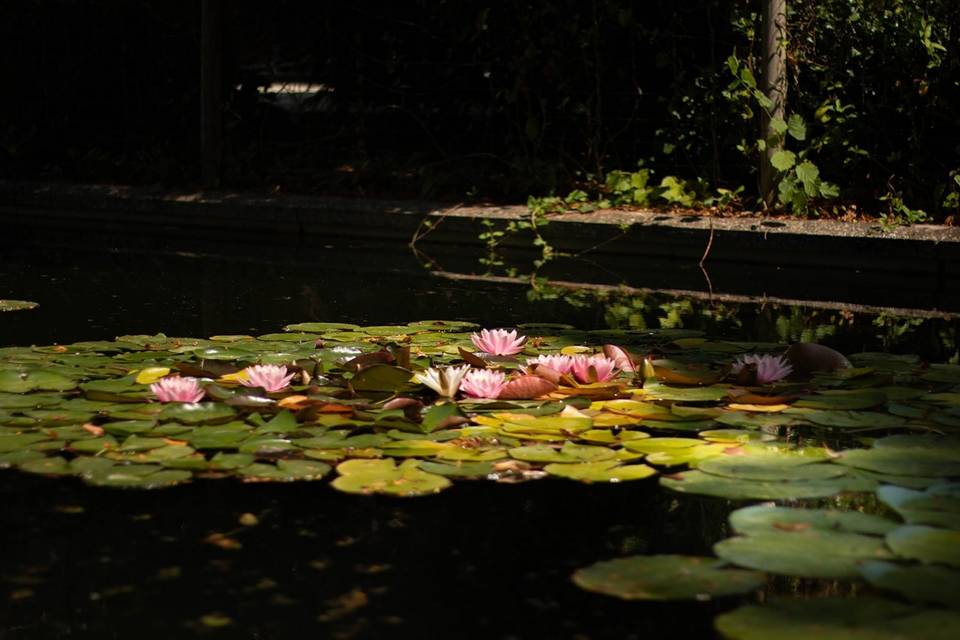 Les Jardins de Joséphine