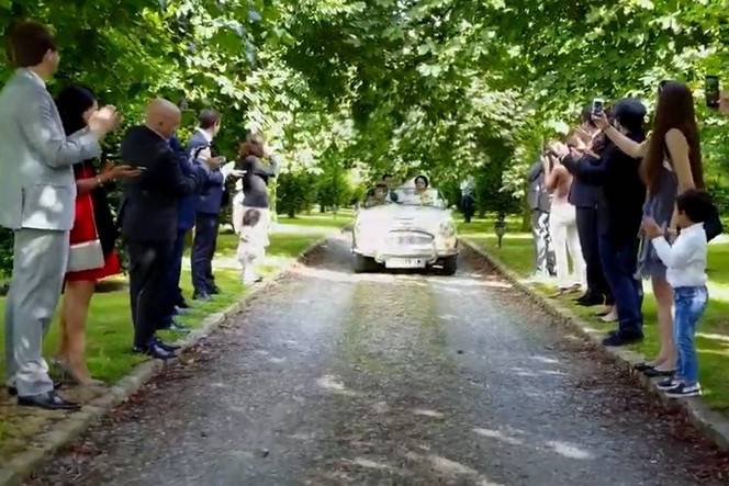 Le Manoir des Marronniers