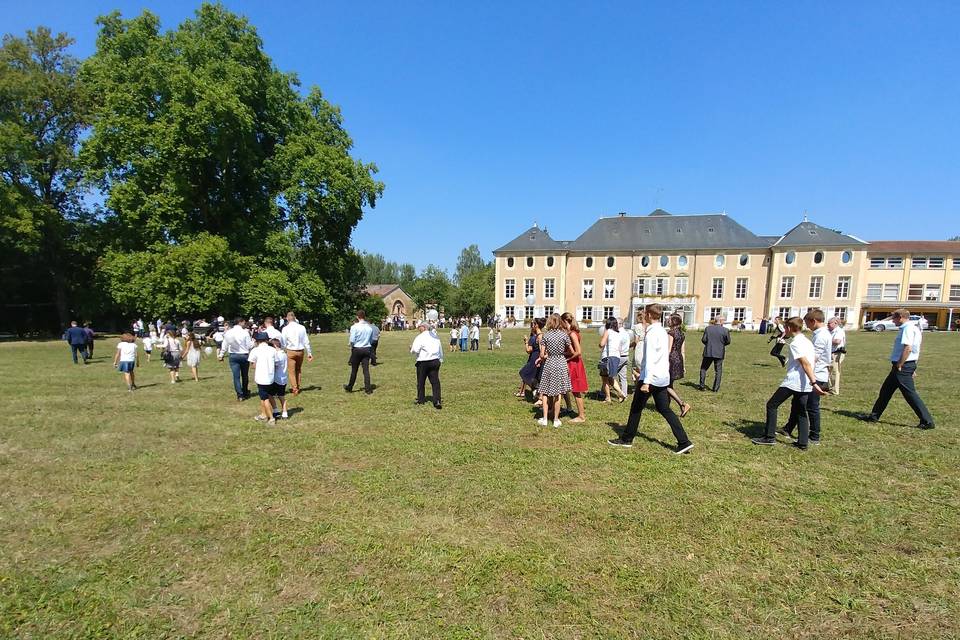 Vaste pelouse dvt le château