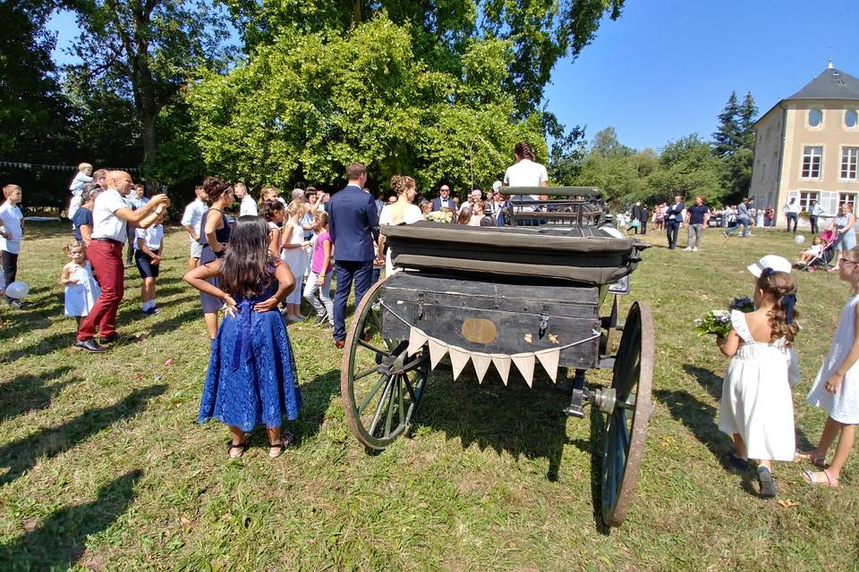 Balade en calèche