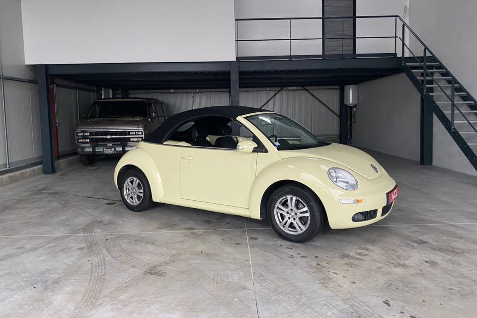 New Beetle 2008