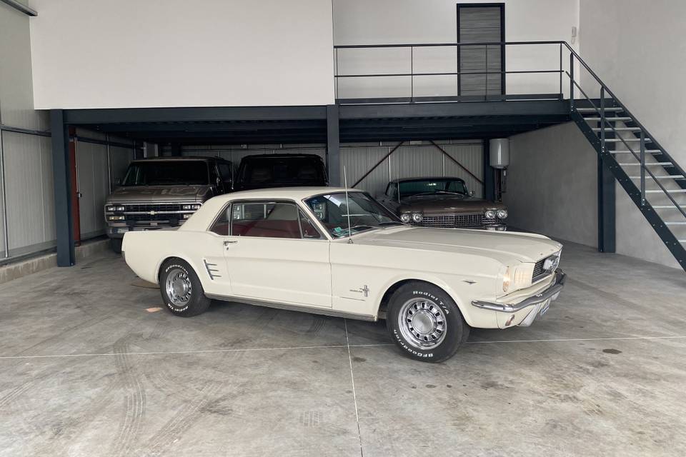 Ford Mustang 1966