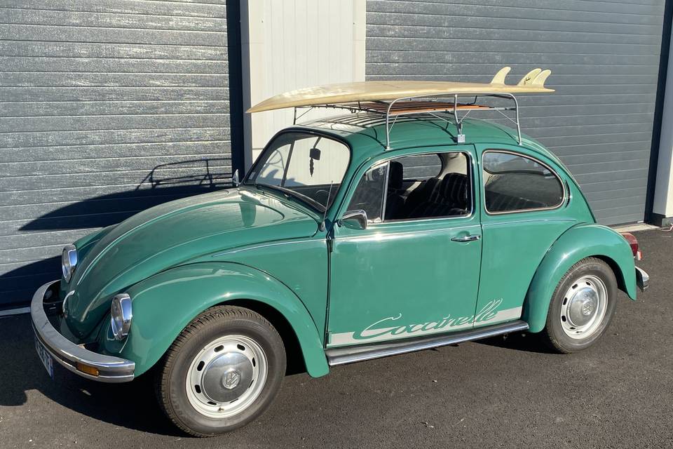 Coccinelle 1984
